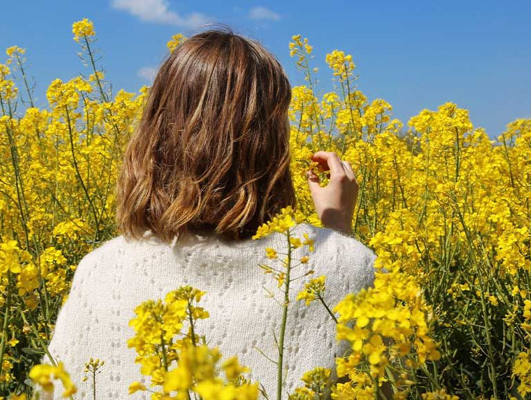 Le cheveu, un organe vivant