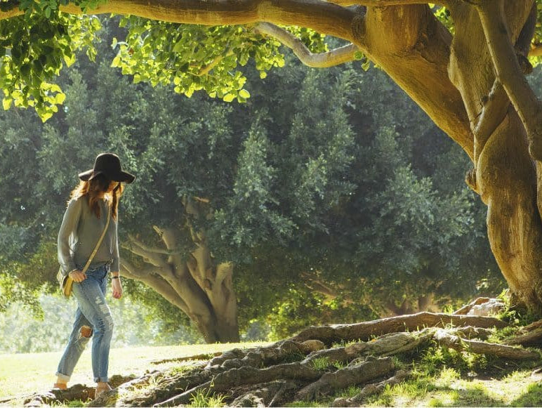 Une femme qui marche dans un parc à côter d'une grand arbre