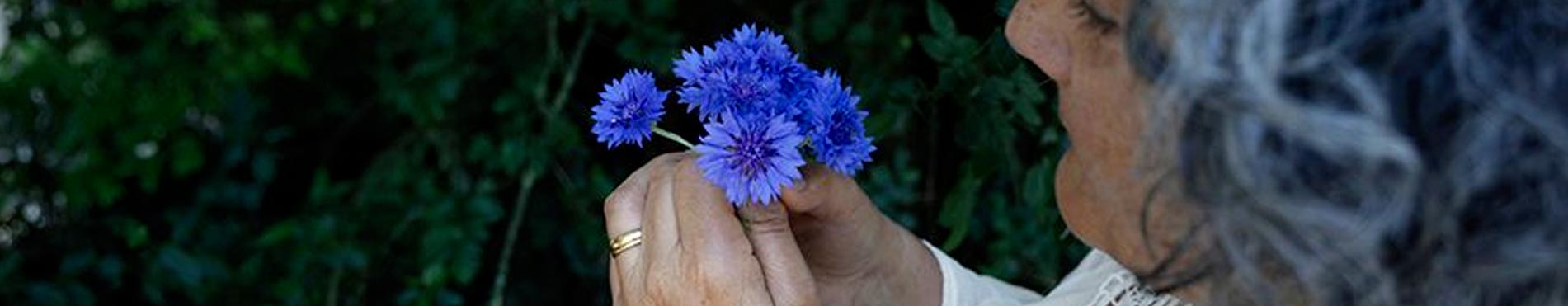 Le Bleuet du Domaine Body Nature