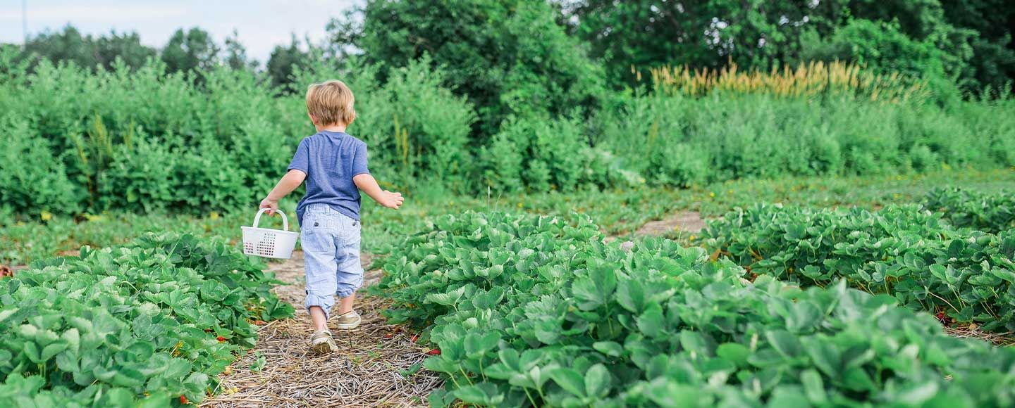 La biodynamie, au service de la Nature