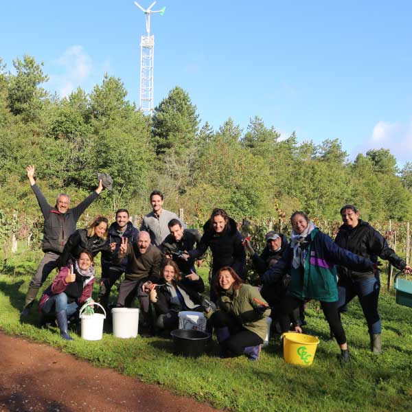 L'équipe Body Nature se mobilise pour faire les vendanges chaque année