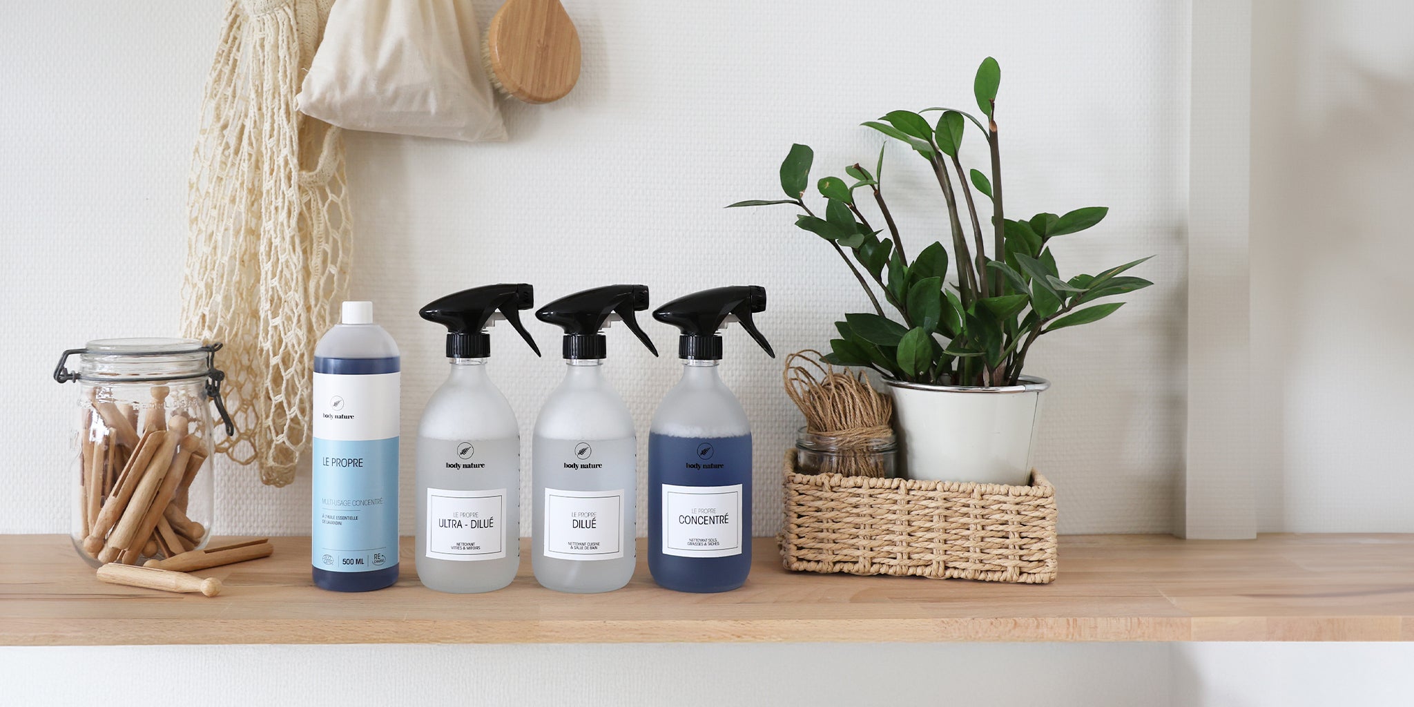 Le Propre et les trois dilutions