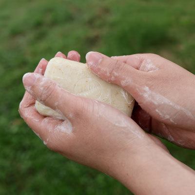 Savon fougère moussant